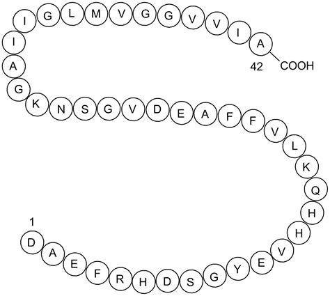 Human β Amyloid (1